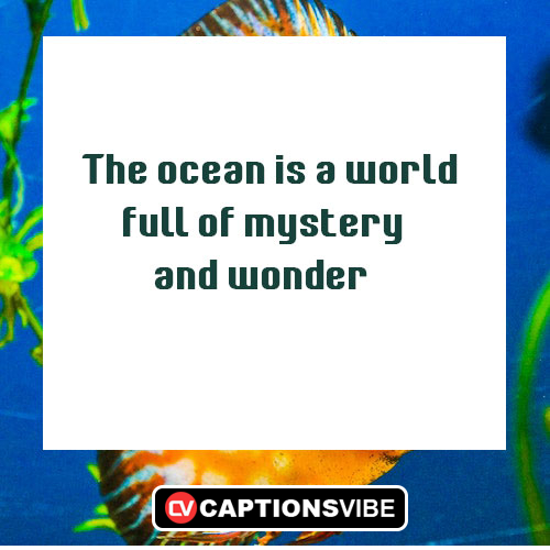 Aquarium Quotes About Life