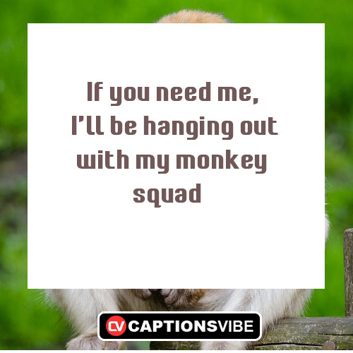 Monkey Captions For Instagram